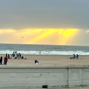 Meet your Posher, Liz